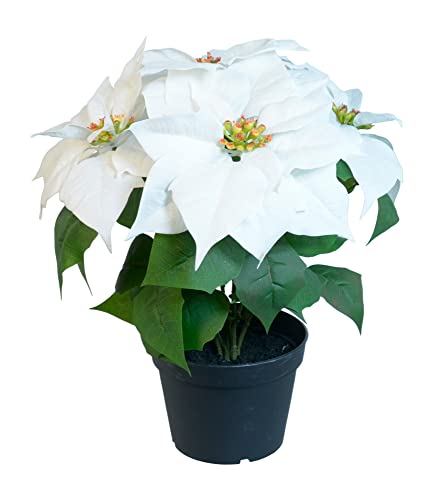 Allstate 14 Inch White Artificial Christmas Poinsettia Plant in Pot, Velvet Touch Flowers