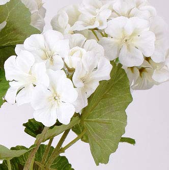 17 Inch Geranium Bush White, Artificial Flowers