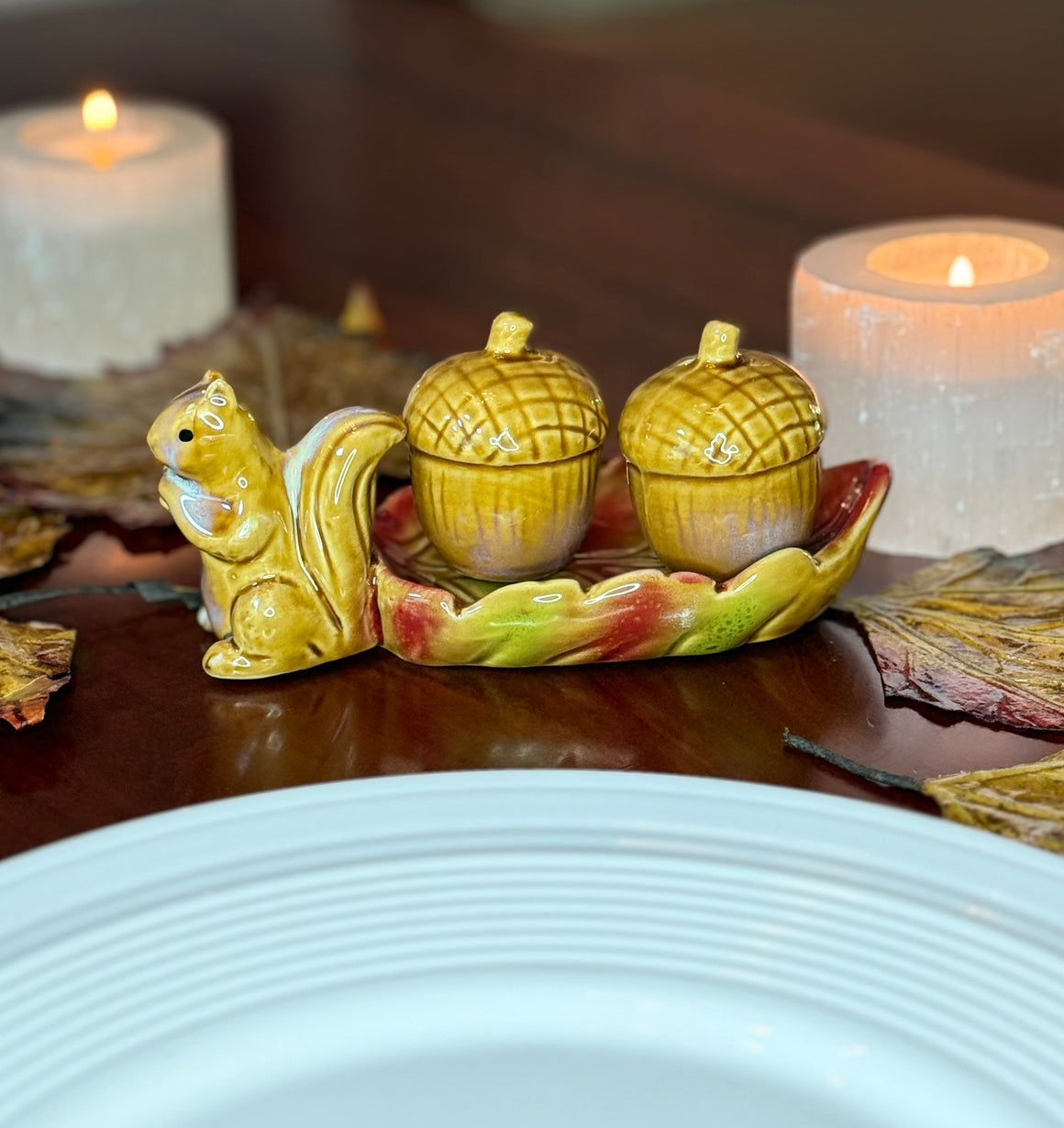Ceramic Fall Squirrel Salt and Pepper Shaker Set, 6 x 2.75 inches, Thanksgiving Table Decor