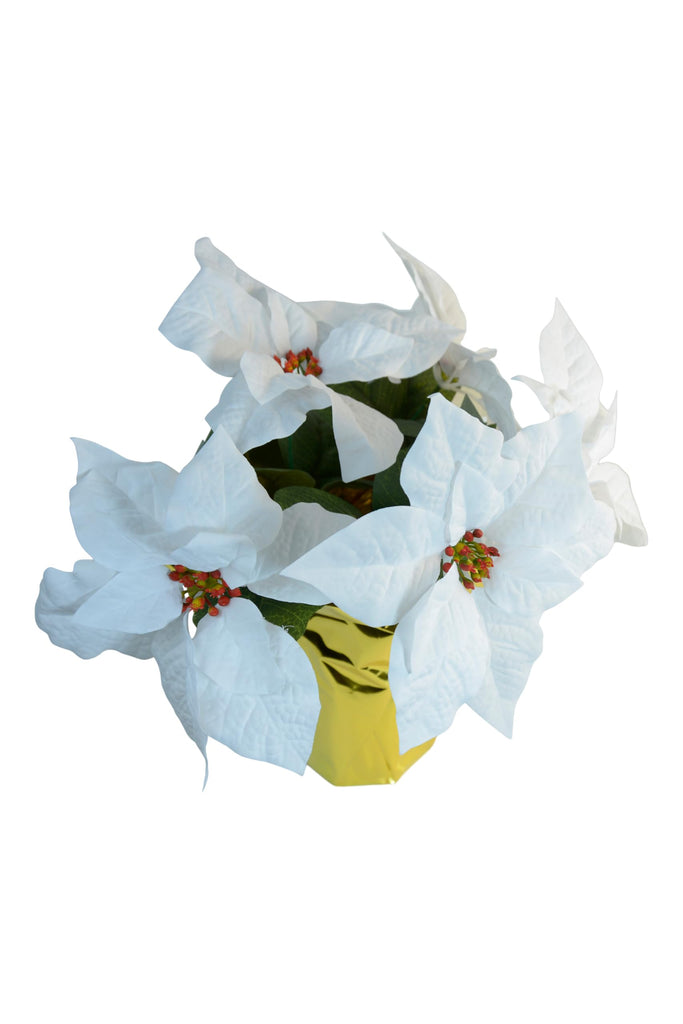 Artificial White Poinsettia Plant in Gold Foil Base, 15 Inch Height, 5 Blooms, Christmas Decoration