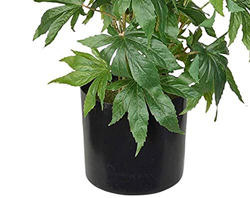 TenWaterloo Artificial Cannabis Plant, Potted Plant 36 Inches High, Fake Marijuana Potted Decor Plant