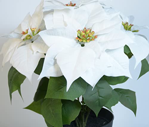 Allstate 14 Inch White Artificial Christmas Poinsettia Plant in Pot, Velvet Touch Flowers