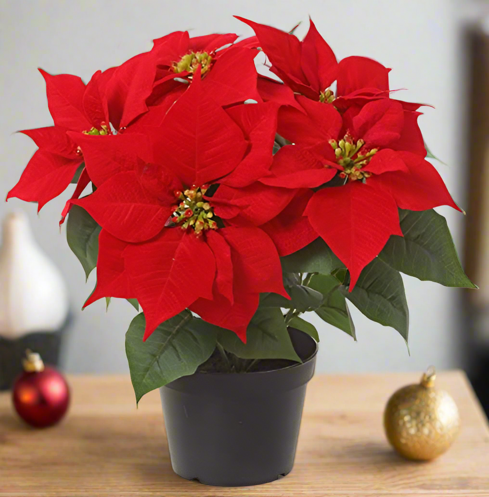 TenWaterloo 14 Inch Artificial Red Velvet Christmas Poinsettia Plant in Nursery Pot