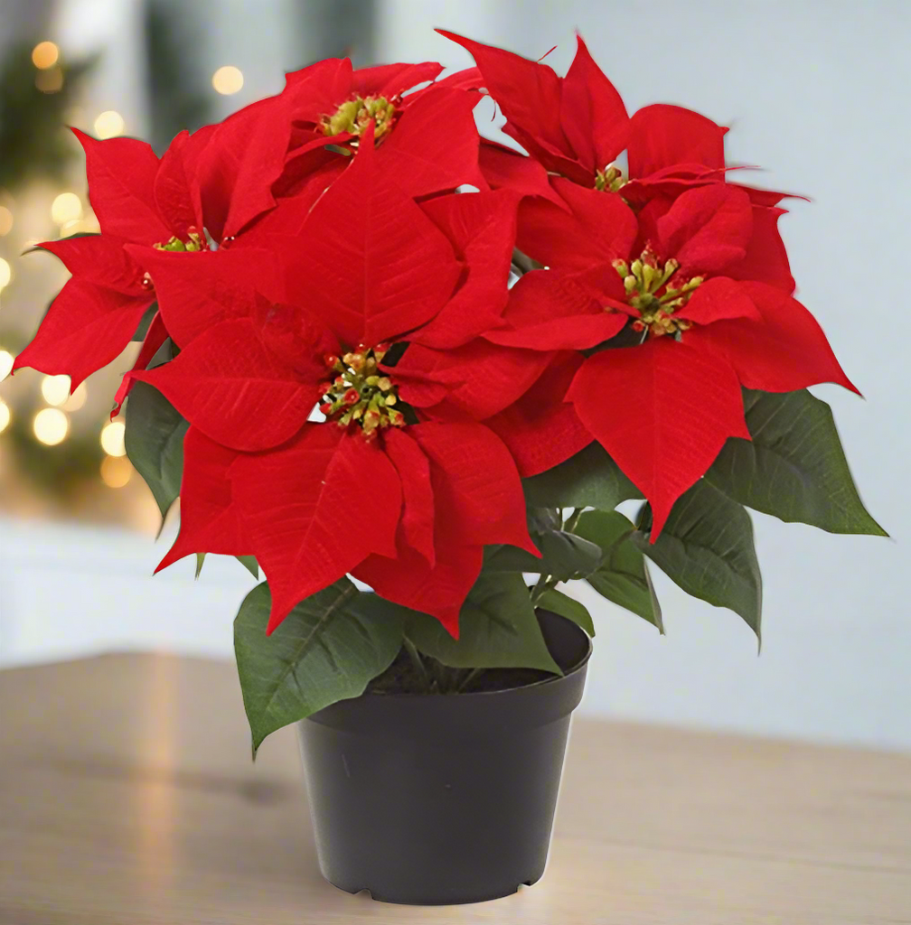 TenWaterloo 14 Inch Artificial Red Velvet Christmas Poinsettia Plant in Nursery Pot