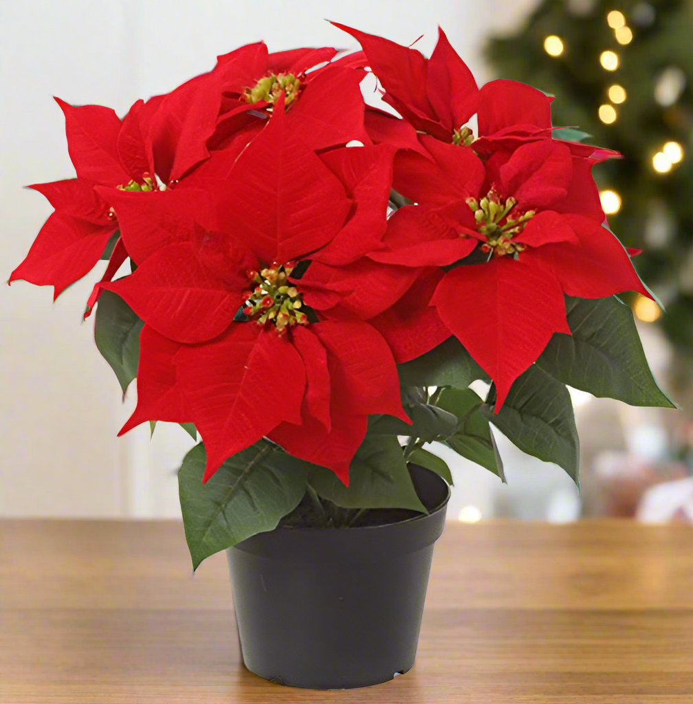 TenWaterloo 14 Inch Artificial Red Velvet Christmas Poinsettia Plant in Nursery Pot