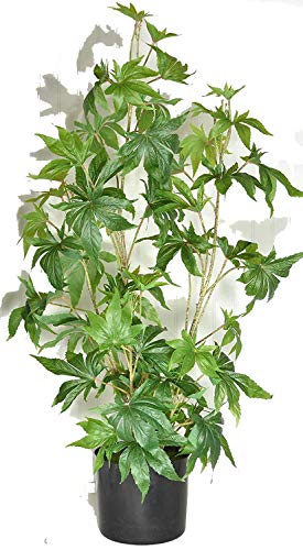 where to buy house plant weed TenWaterloo Artificial Cannabis Plant, Potted Plant 36 Inches High, Fa