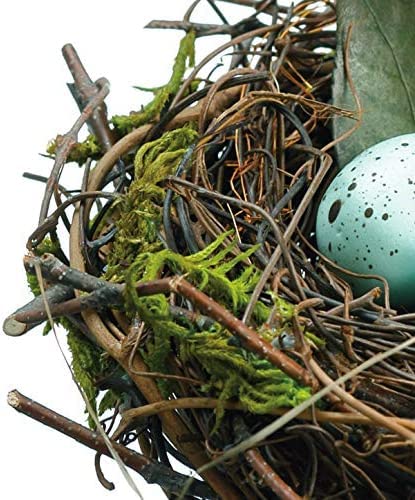TenWaterloo 4.5 Inch Mossy Bird's Nest with Blue/Green Eggs - Faux Eggs with Natural Twigs - Spring and Easter Décor, 4.5 Inches Wide