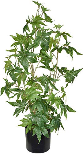 TenWaterloo Artificial Cannabis Plant, Potted Plant 36 Inches High, Fake Marijuana Potted Decor Plant