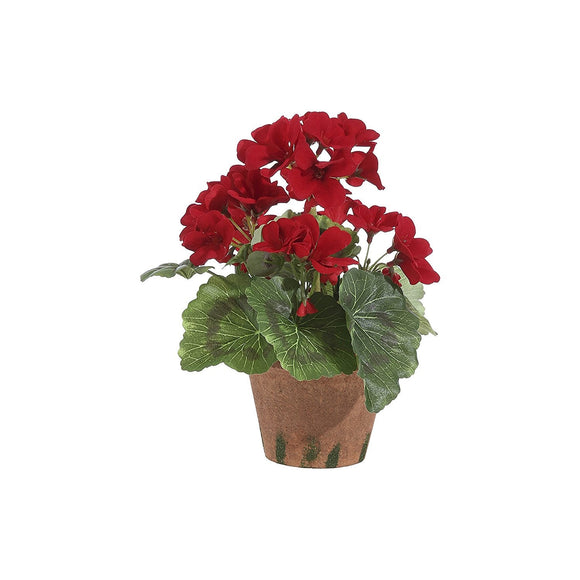 9 Inch High Potted Red Geranium In Pot