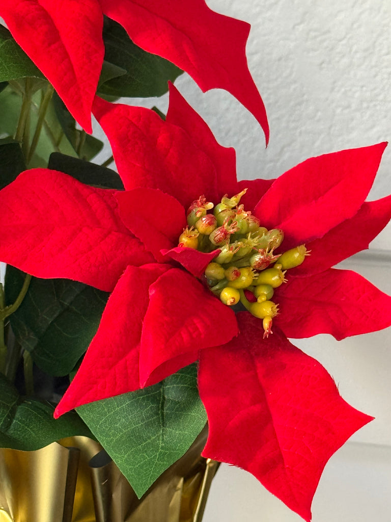 Artificial Poinsettia in Gold Foil Wrap, 12" Velvet Look