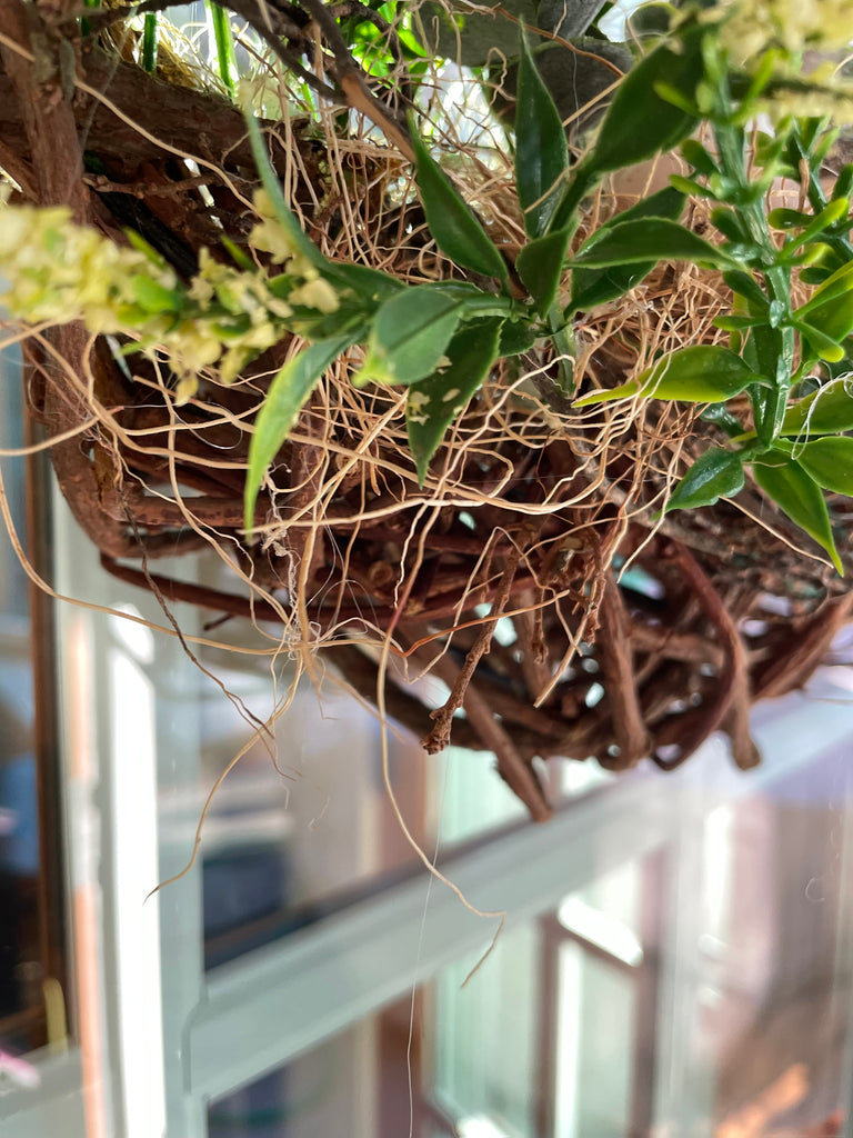 Easter Decorative Wreath with Faux Robin Eggs and Greenery, Natural Twisted Branch, 14 x 14 inches