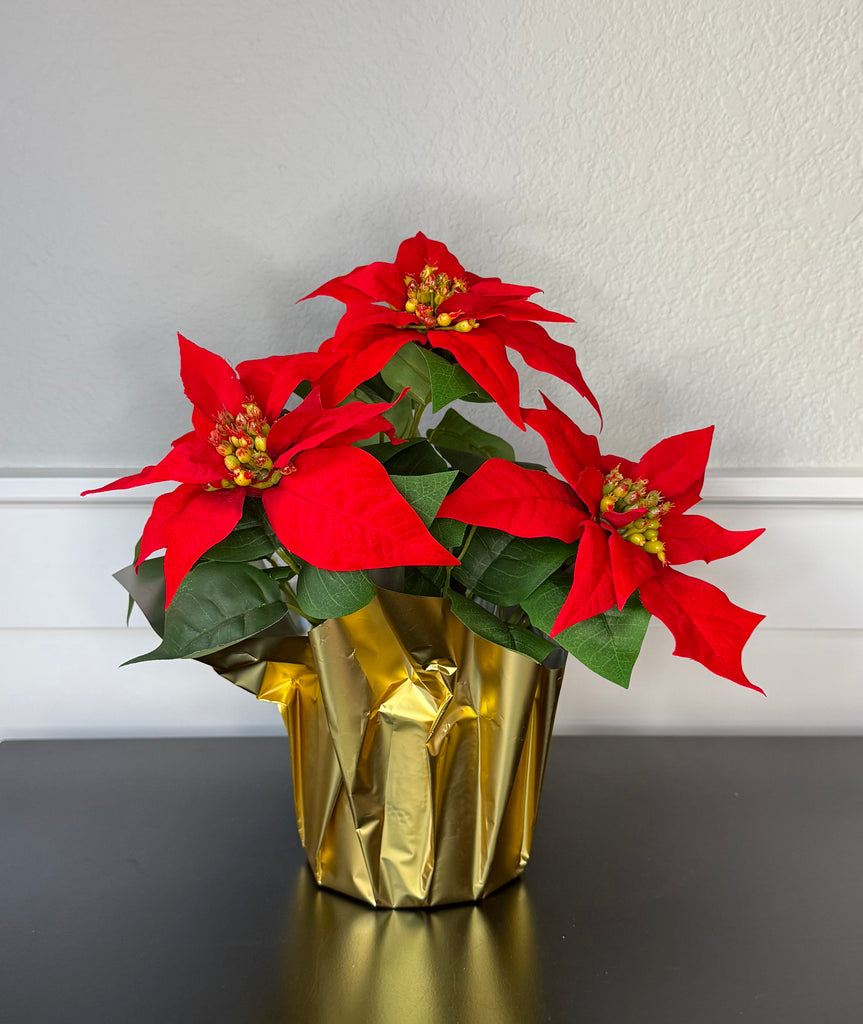 Artificial Poinsettia in Gold Foil Wrap, 12" Velvet Look