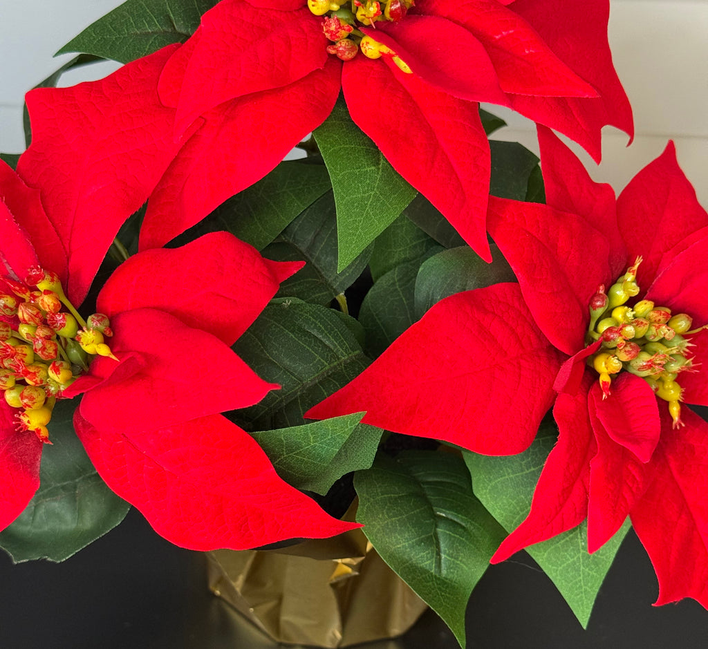 Artificial Poinsettia in Gold Foil Wrap, 12" Velvet Look