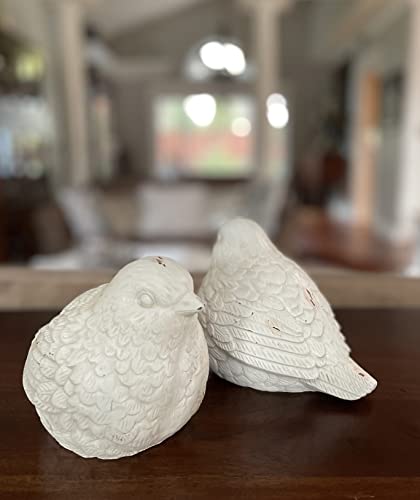 TenWaterloo Set of 2 Sculpted White Decorative Bird Figurine Statues, 6 Inches x 5 inches, Bird Garden Décor