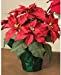15" Potted Red Poinsettia Plant with 7 Flowers, Artificial Floral