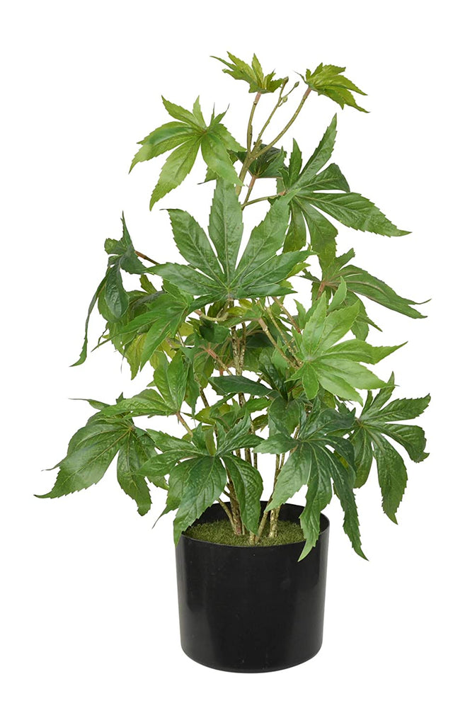 TenWaterloo 24 Inch Artificial Marijuana Plant, Potted Plant, Cannabis Plant