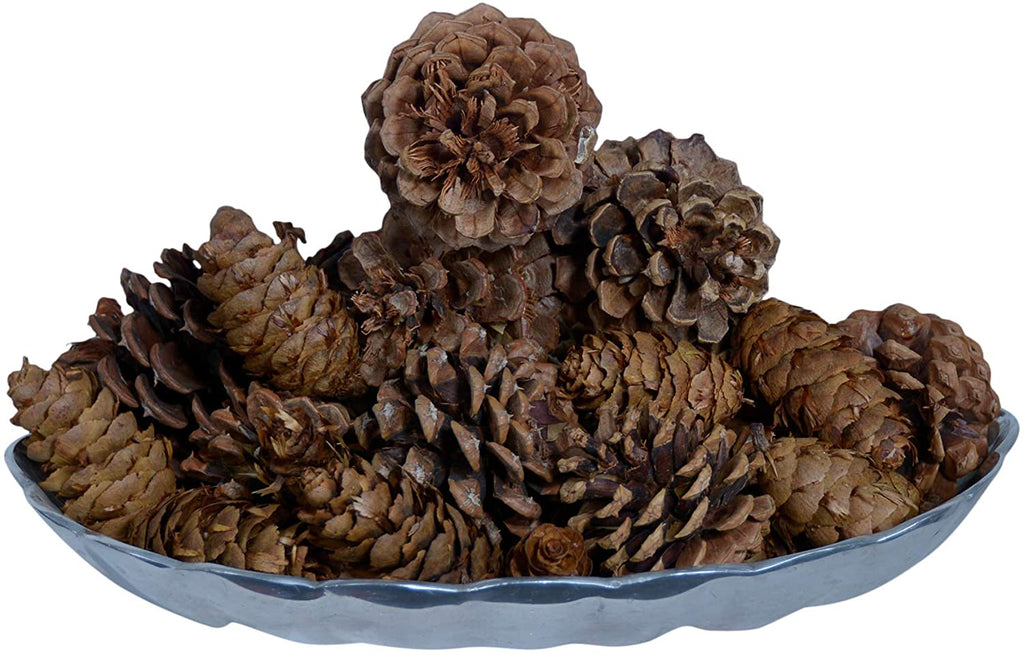 Innovative Fragrances Inc. Cinnamon Scented Pine Cones 12 Ounce Bulk Bag, Made in The USA, Bowl Filler