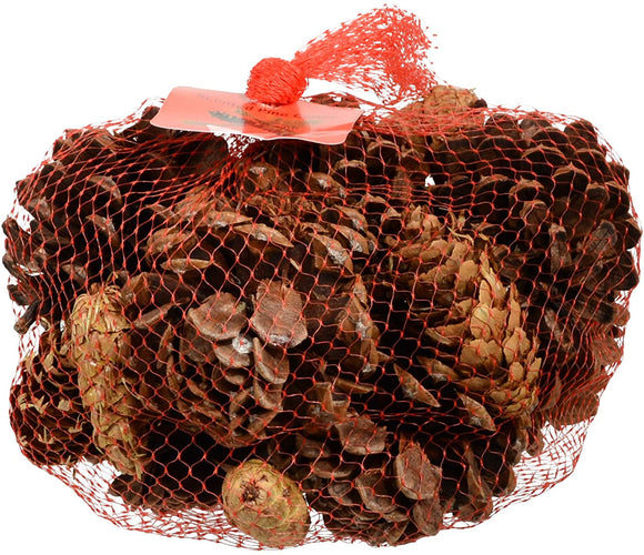 Innovative Fragrances Inc. Cinnamon Scented Pine Cones 12 Ounce Bulk Bag, Made in The USA, Bowl Filler