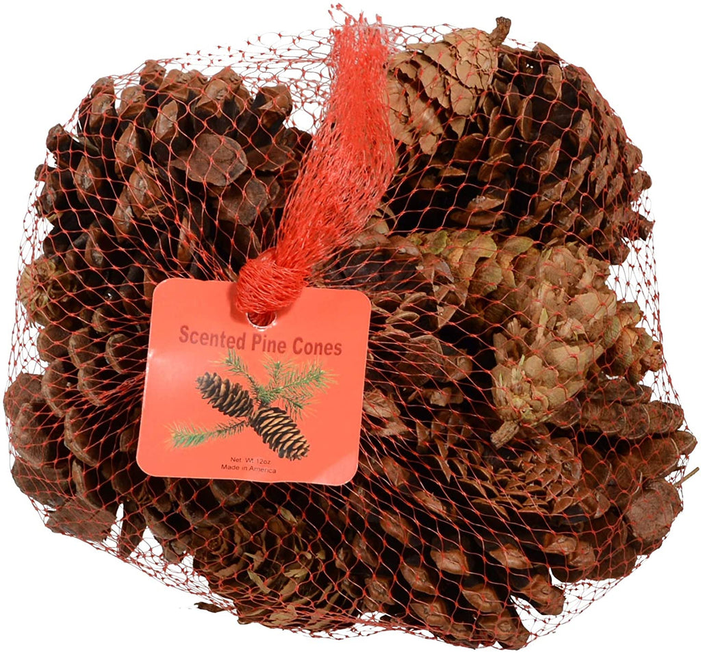 Innovative Fragrances Inc. Cinnamon Scented Pine Cones 12 Ounce Bulk Bag, Made in The USA, Bowl Filler